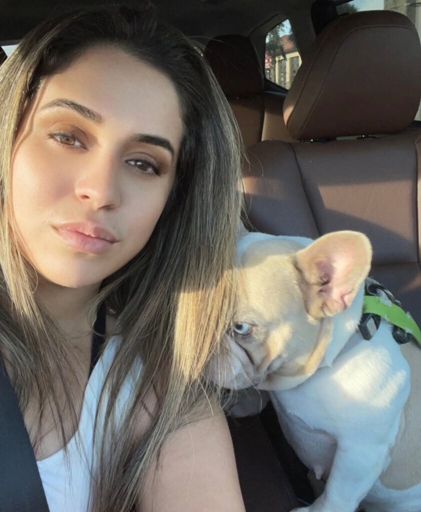 Französische Bulldoggen welpen zu verkaufen