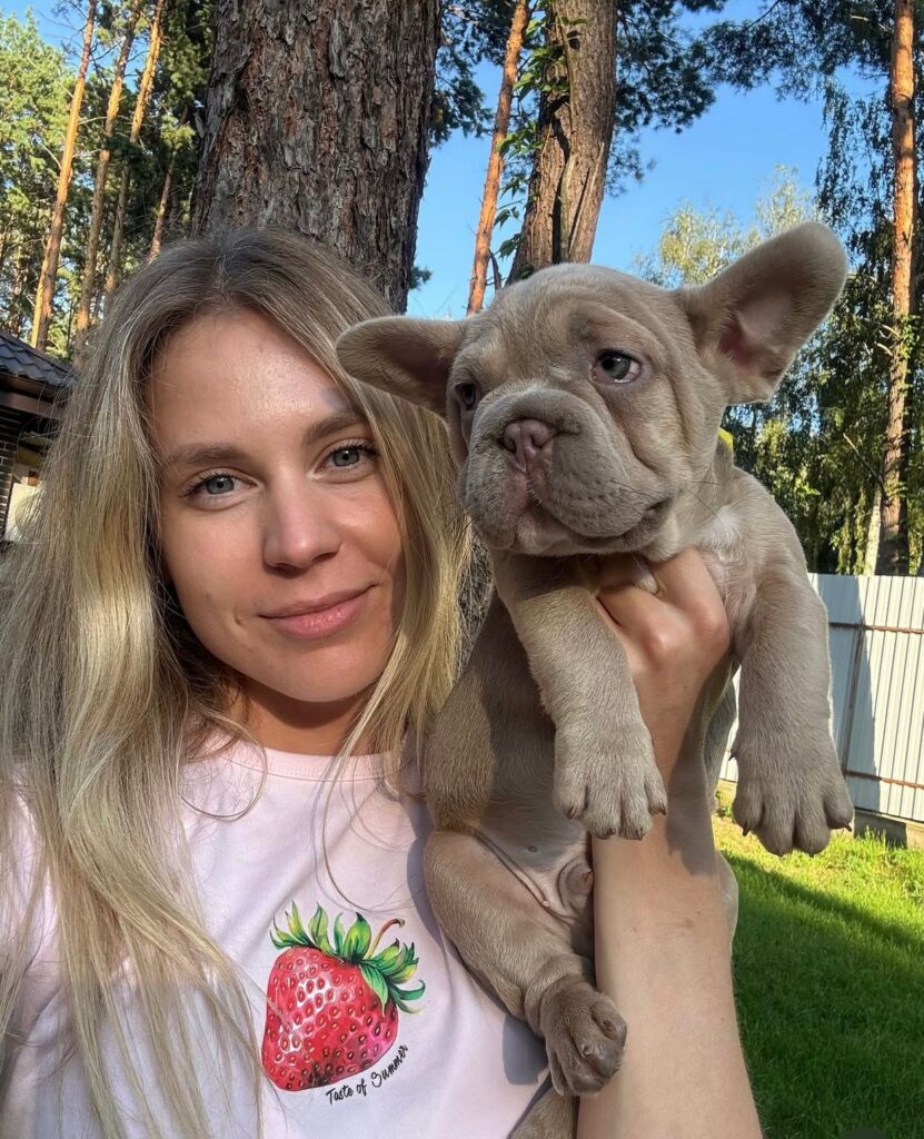 Französische Bulldoggen welpen zu verkaufen