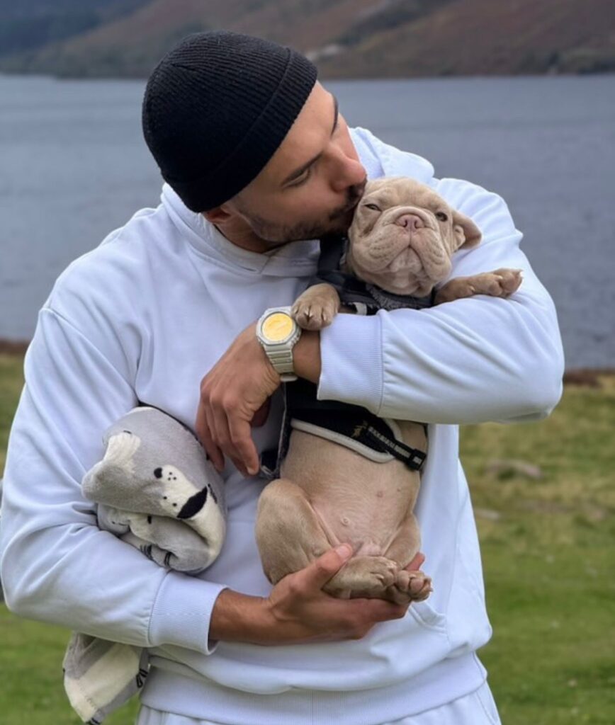 Französische Bulldoggen welpen zu verkaufen